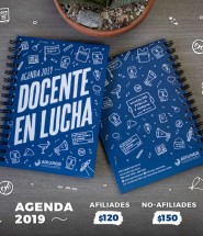 Docente-en-Lucha-Agendas-2019-ADIUNGS