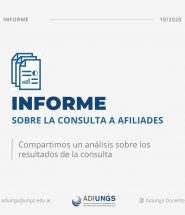 Informe-consulta-afiliades-ADIUNGS