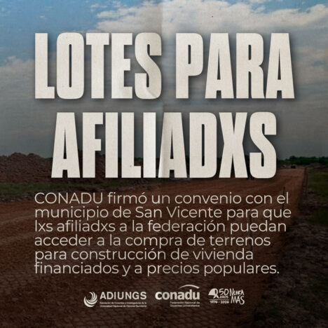 adiungs-lotes-san-vicente